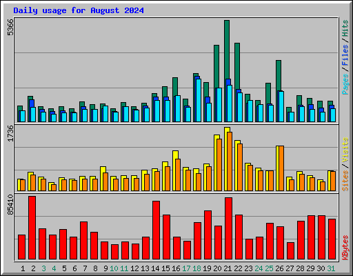 Daily usage for August 2024