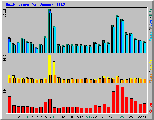 Daily usage for January 2025