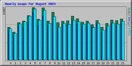 Hourly usage for August 2023