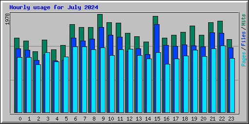 Hourly usage for July 2024