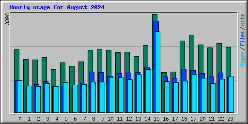 Hourly usage for August 2024