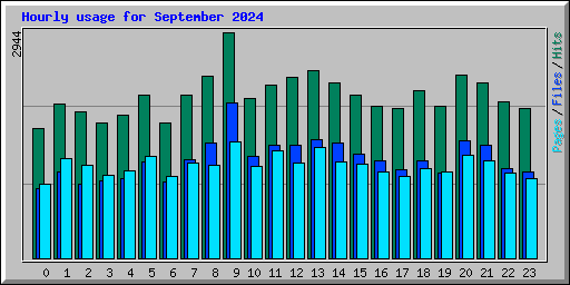 Hourly usage for September 2024