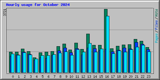 Hourly usage for October 2024