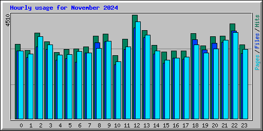 Hourly usage for November 2024