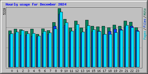 Hourly usage for December 2024