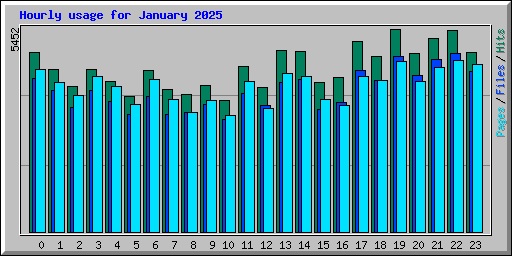 Hourly usage for January 2025