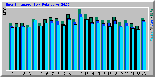 Hourly usage for February 2025