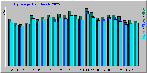 Hourly usage for March 2025