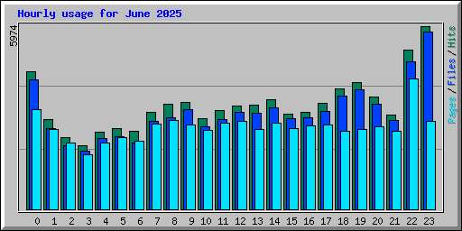 Hourly usage for June 2025