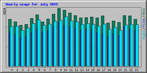 Hourly usage for July 2025