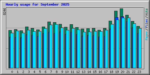 Hourly usage for September 2025