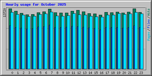 Hourly usage for October 2025