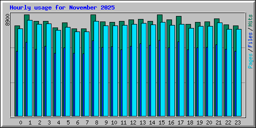 Hourly usage for November 2025