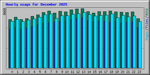 Hourly usage for December 2025