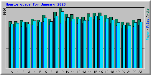 Hourly usage for January 2026